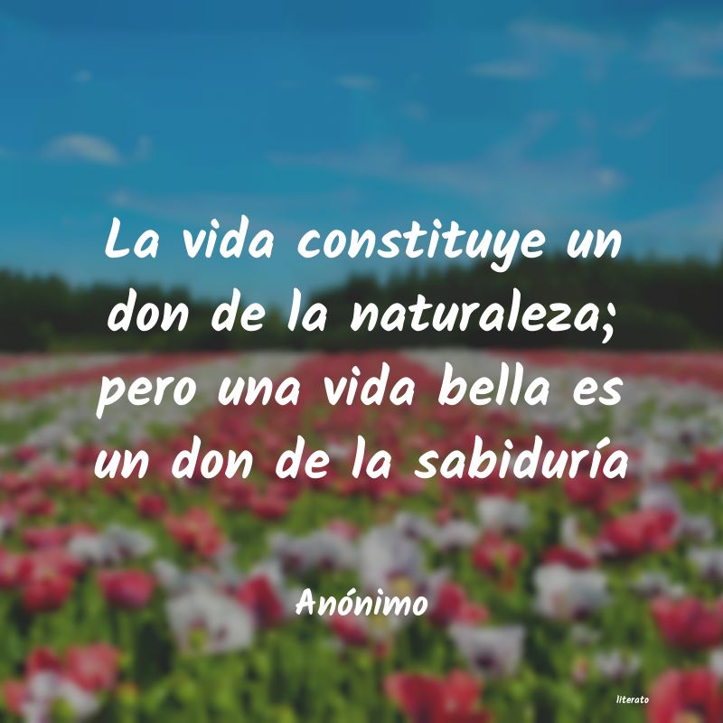 Frases de