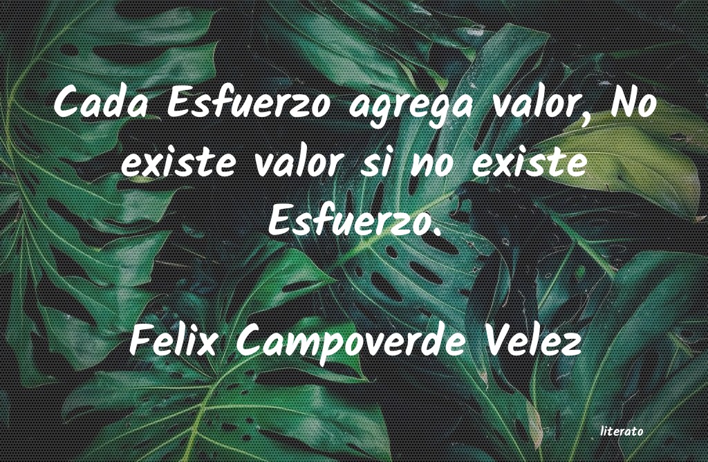frases de Felix Campoverde Velez