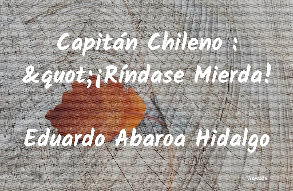 Frases de Eduardo Abaroa Hidalgo