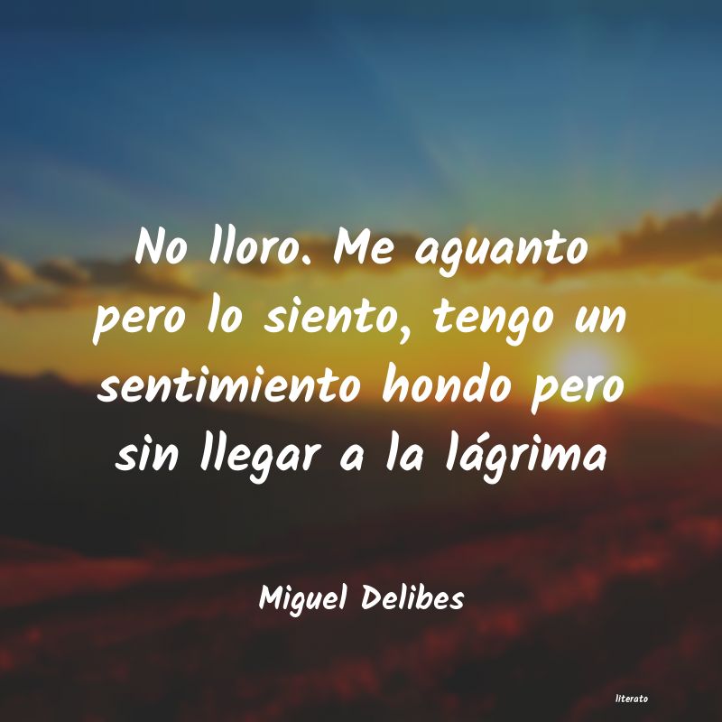 Frases de Miguel Delibes