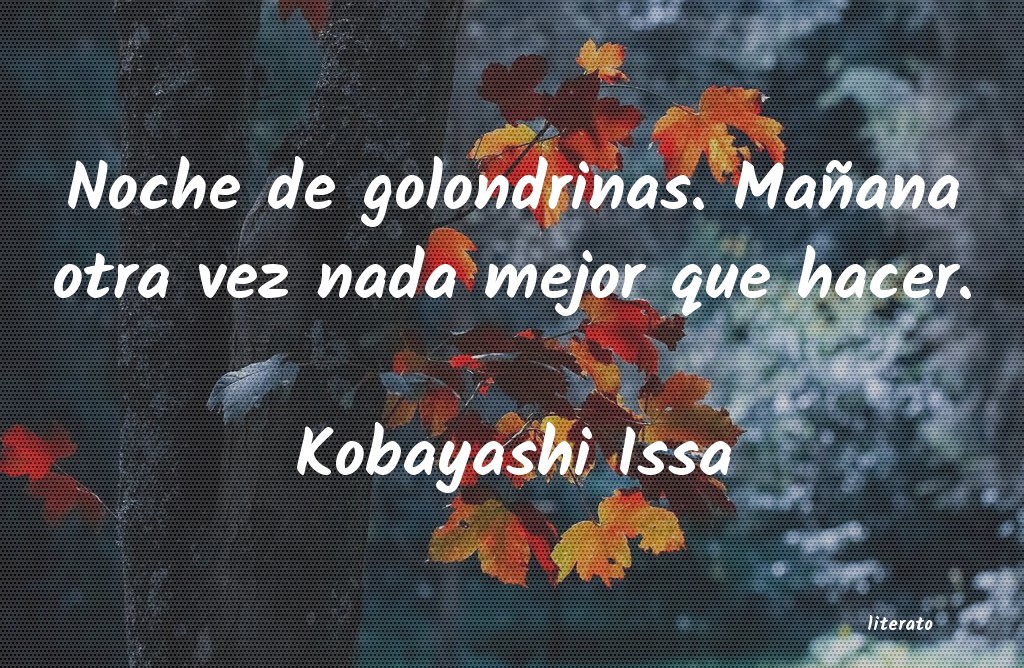 frases de Kobayashi Issa