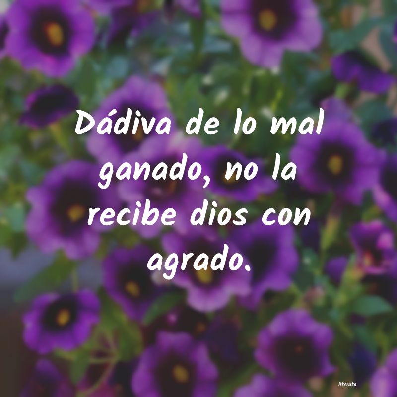 frases