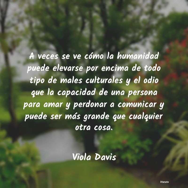 Frases de Viola Davis