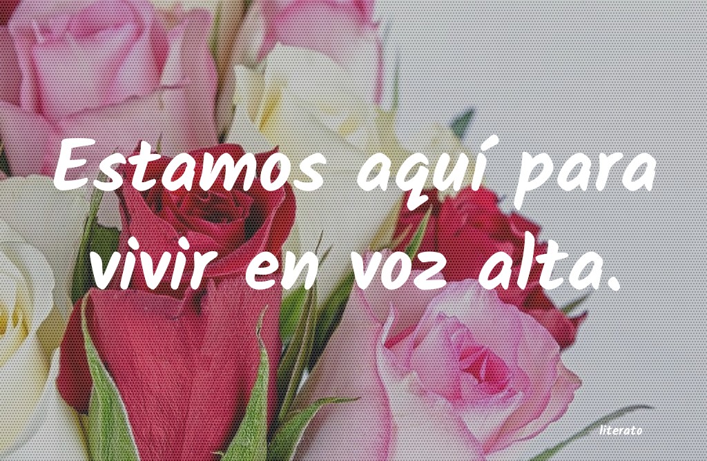 frases