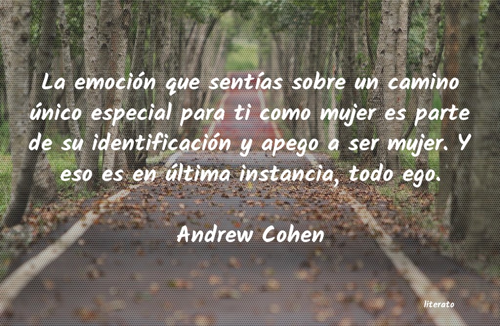 Frases de Andrew Cohen
