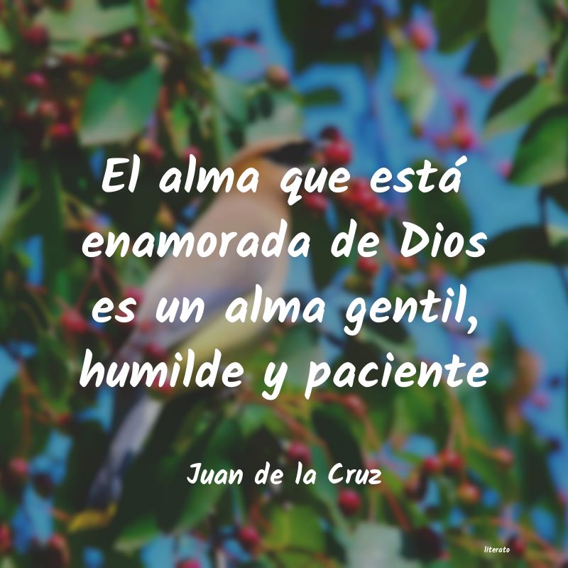 Frases de Juan de la Cruz