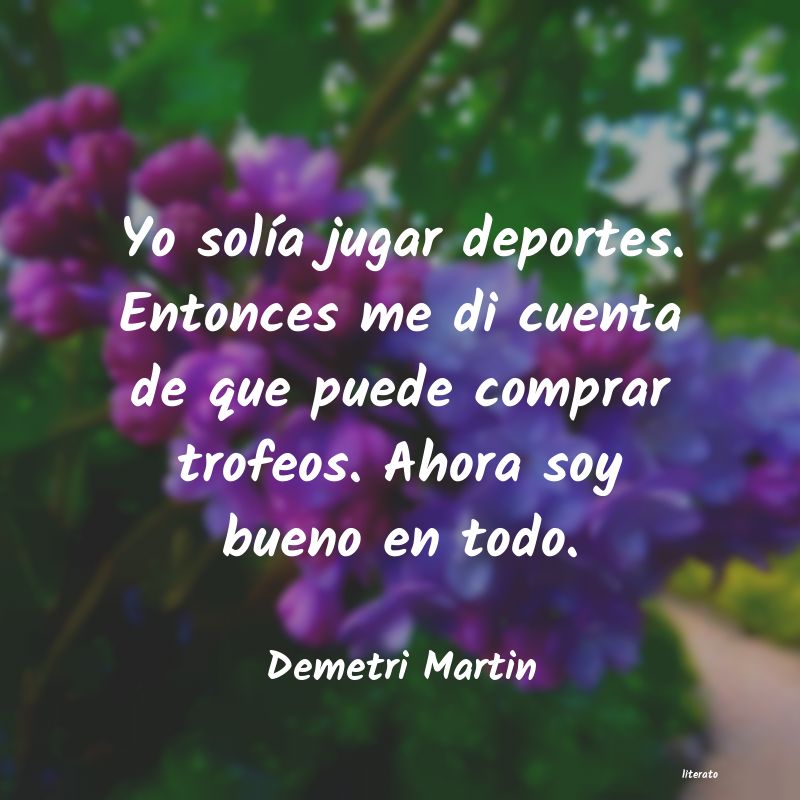 frases de Demetri Martin