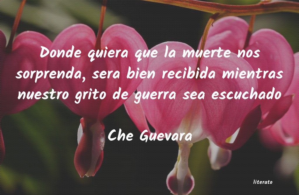 frases de Che Guevara