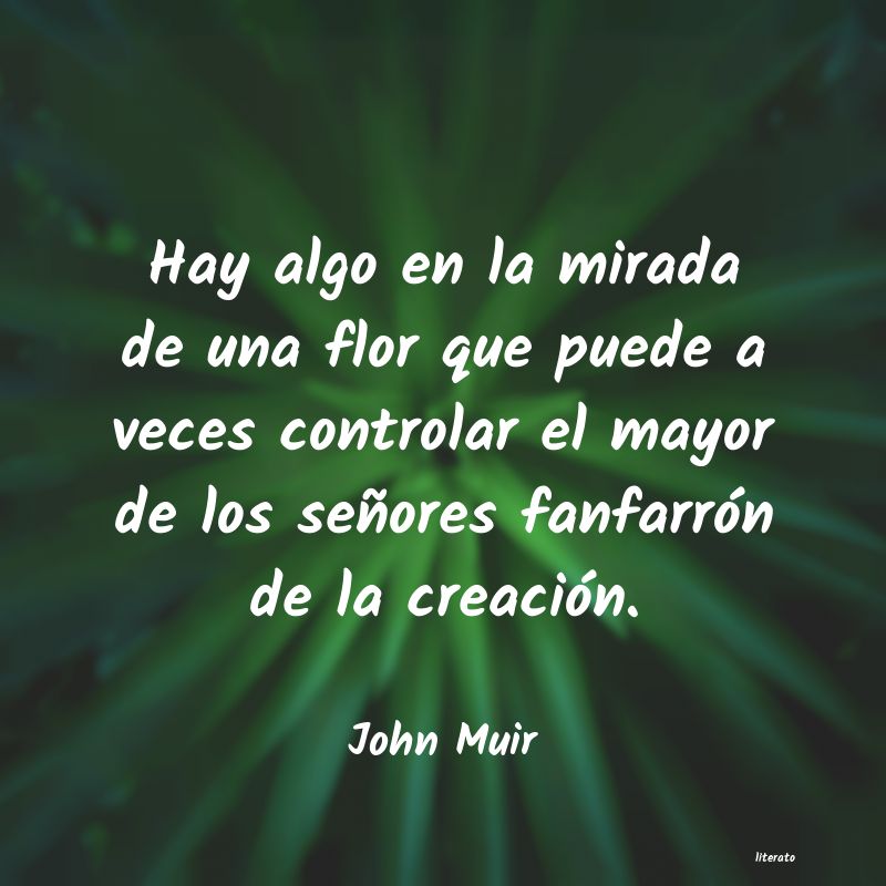 frases de John Muir