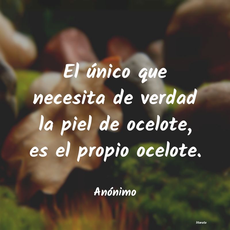 frases