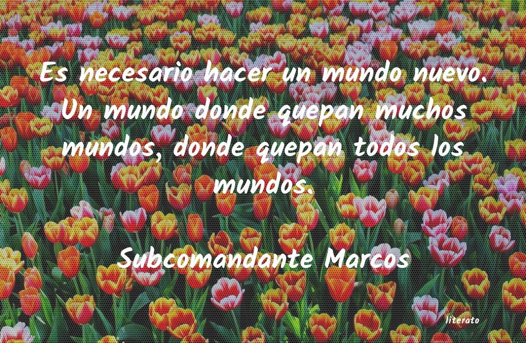 frases de Subcomandante Marcos