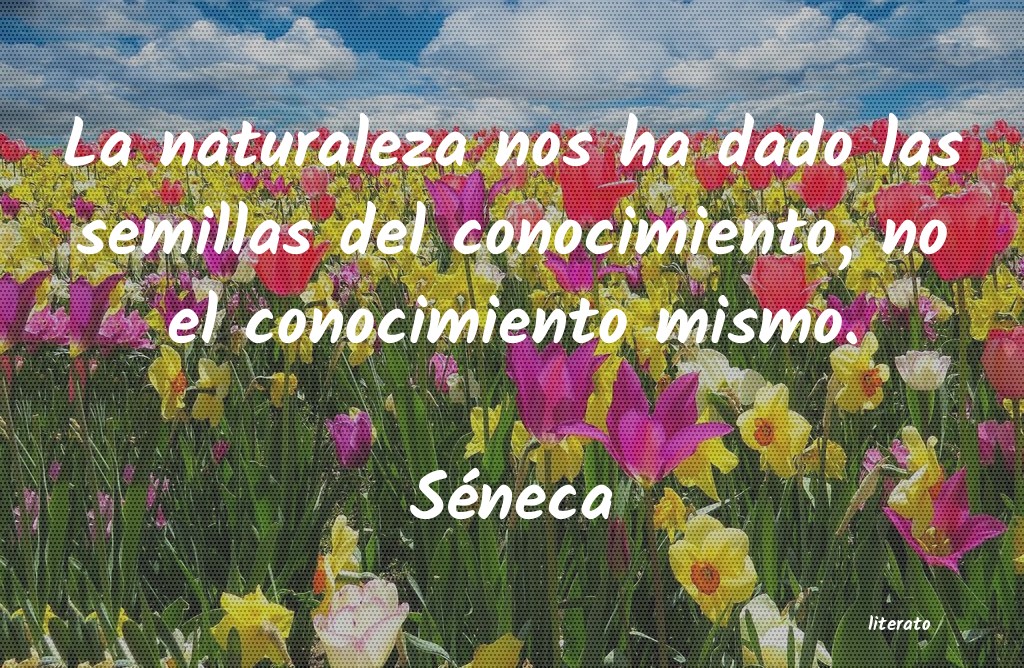 frases de Séneca
