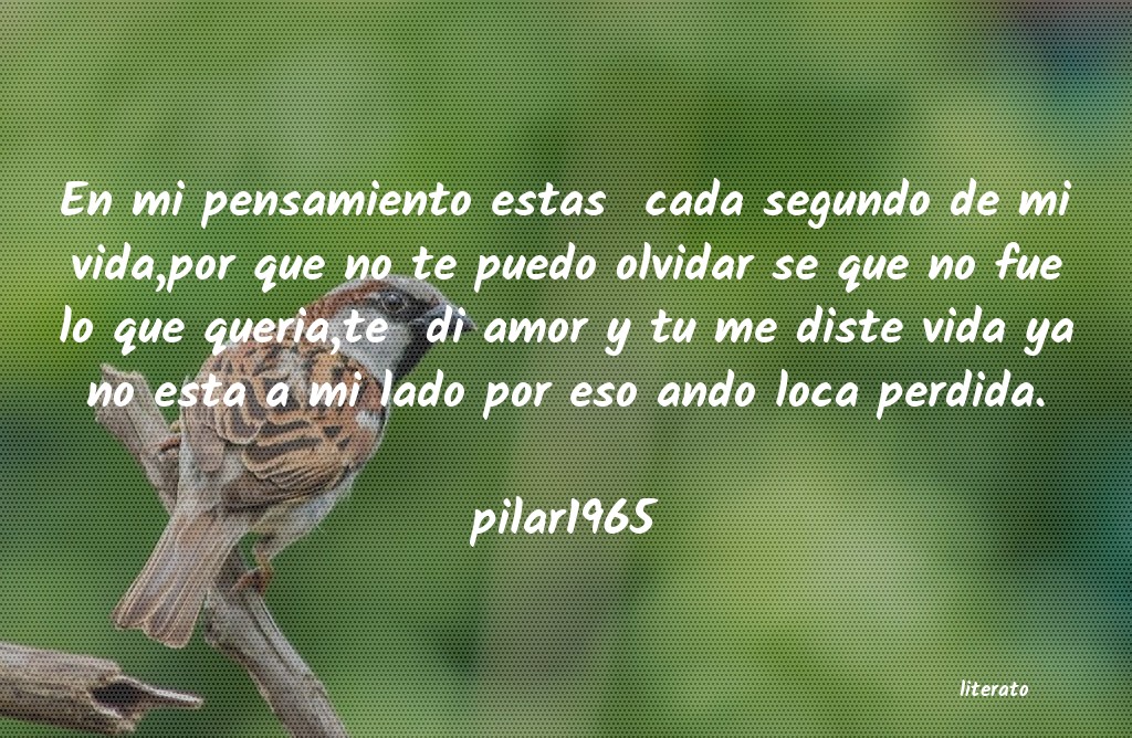 frases de no te puedo olvidar