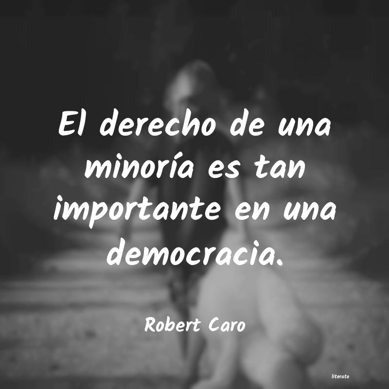 Frases de Robert Caro