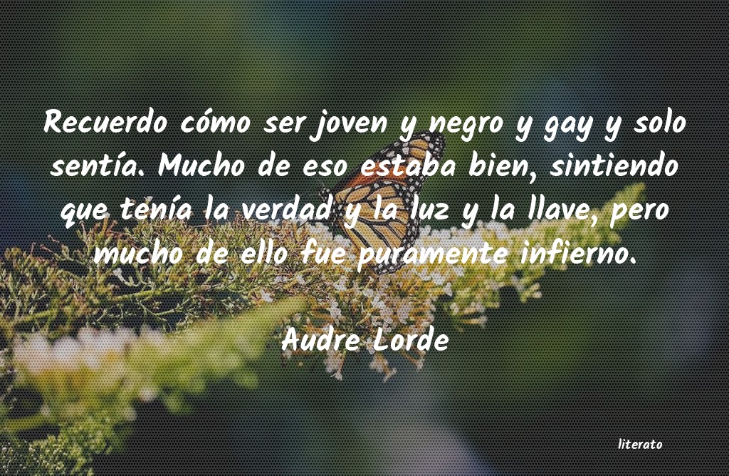 Frases de Audre Lorde