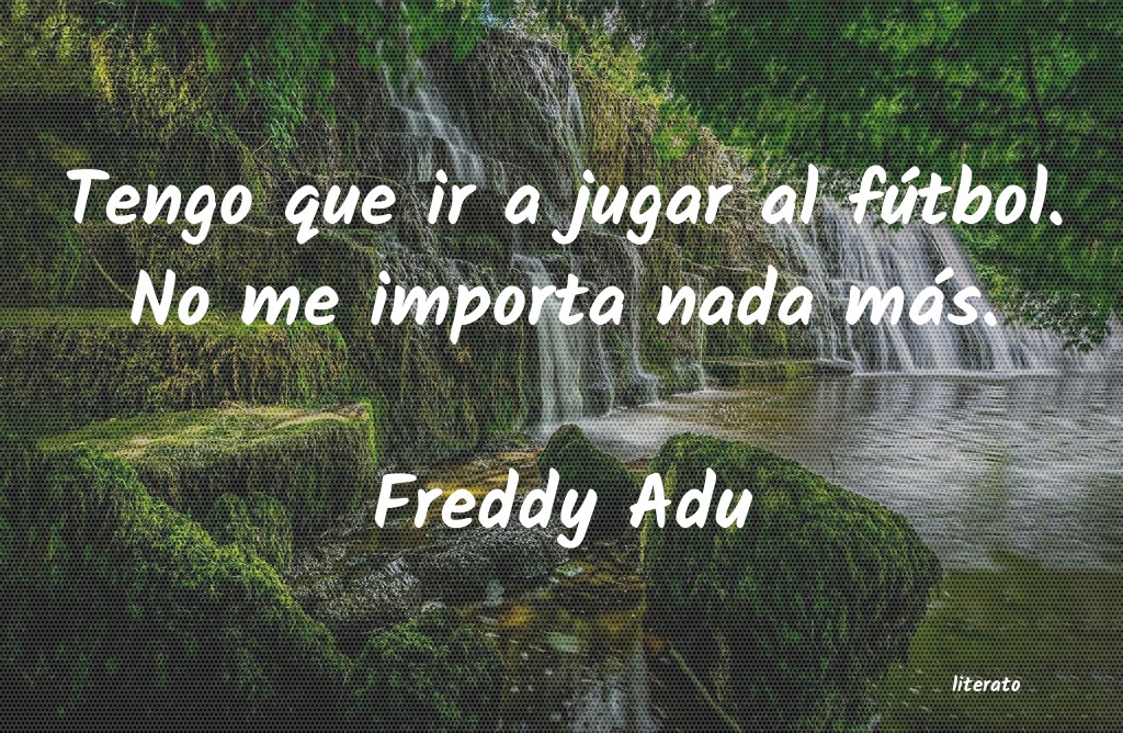 frases de Freddy Adu
