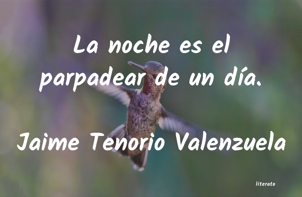frases de Jaime Tenorio Valenzuela