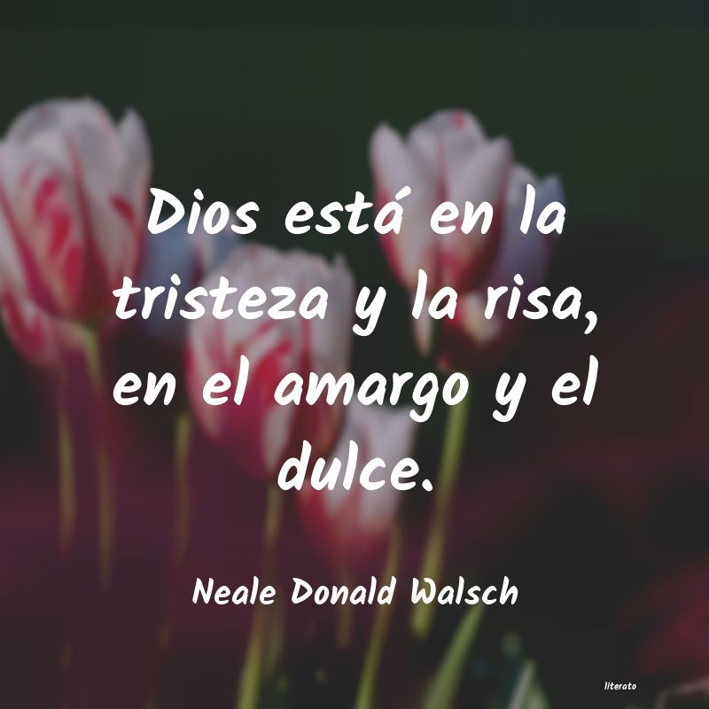 Frases de Neale Donald Walsch