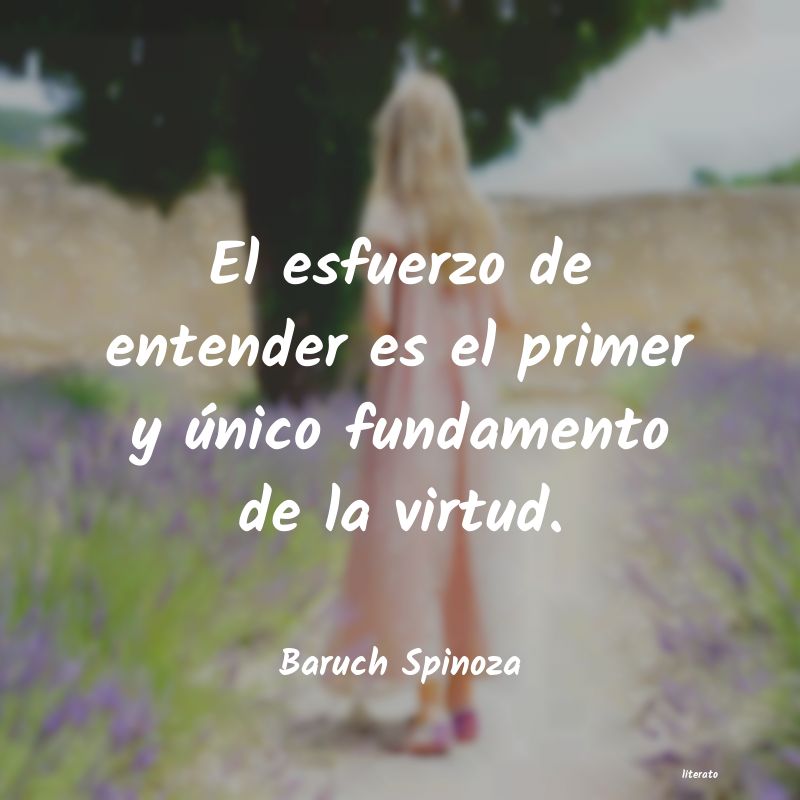 Frases de Baruch Spinoza