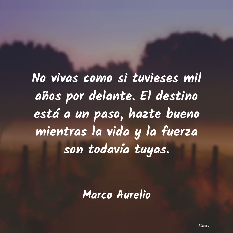 frases de Marco Aurelio