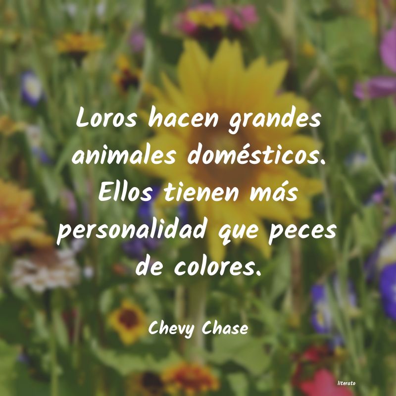 Frases de Chevy Chase