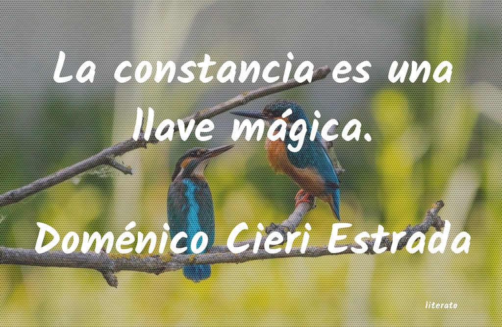 Frases de Doménico Cieri Estrada