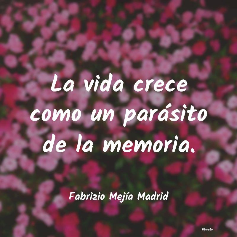 frases de Fabrizio MejÃa Madrid