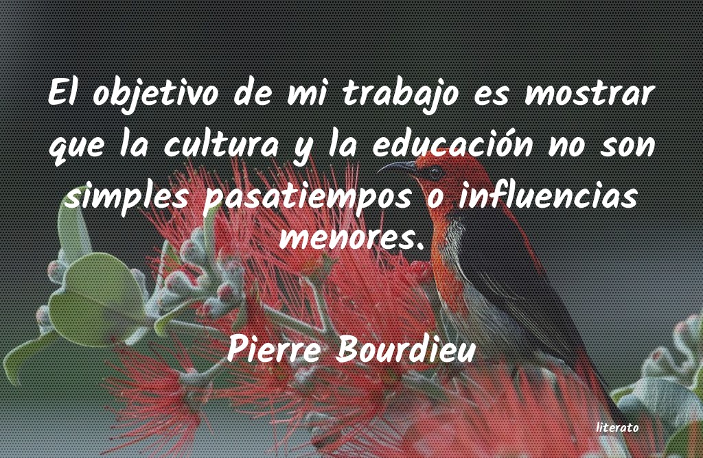 frases de Pierre Bourdieu