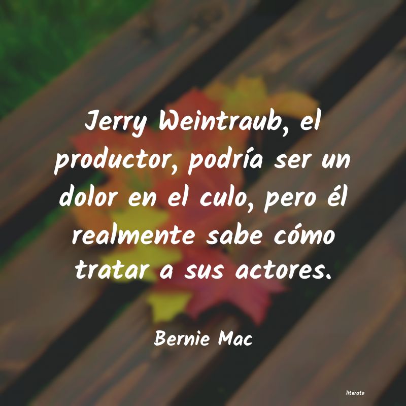 Frases de Bernie Mac