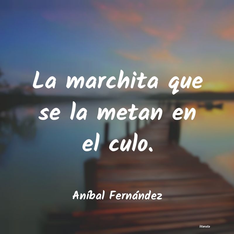 Frases de Aníbal Fernández