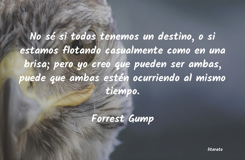 Frases de Forrest Gump