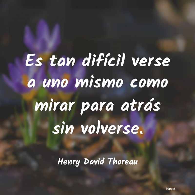 Frases de Henry David Thoreau