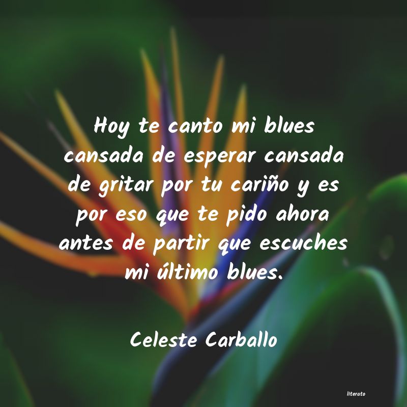 frases de Celeste Carballo