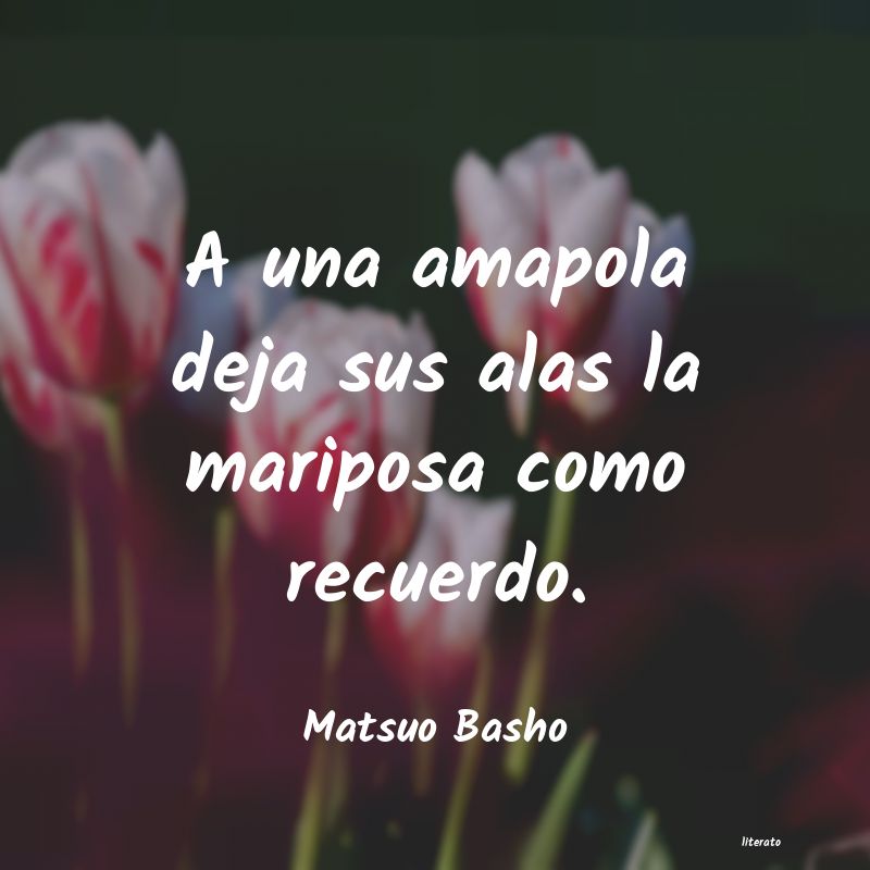 Frases de Matsuo Basho