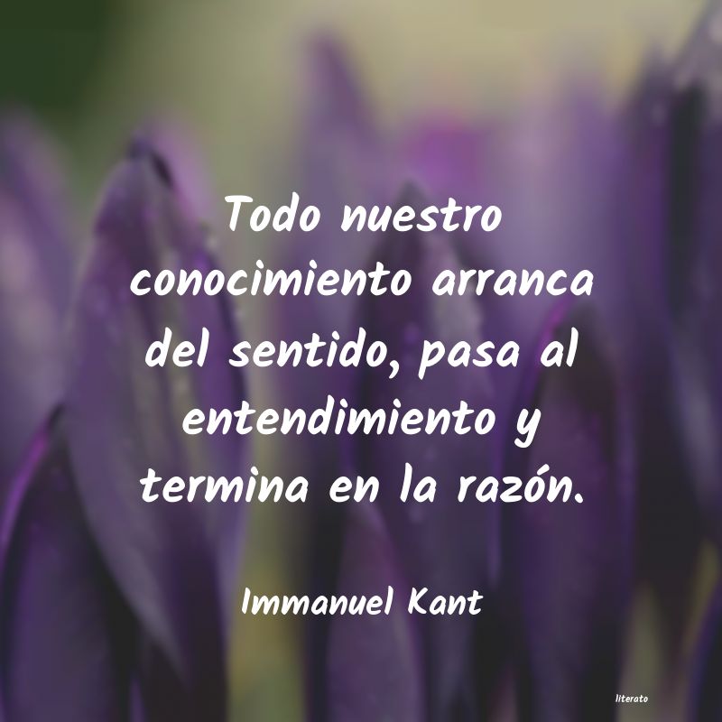 Frases de Immanuel Kant