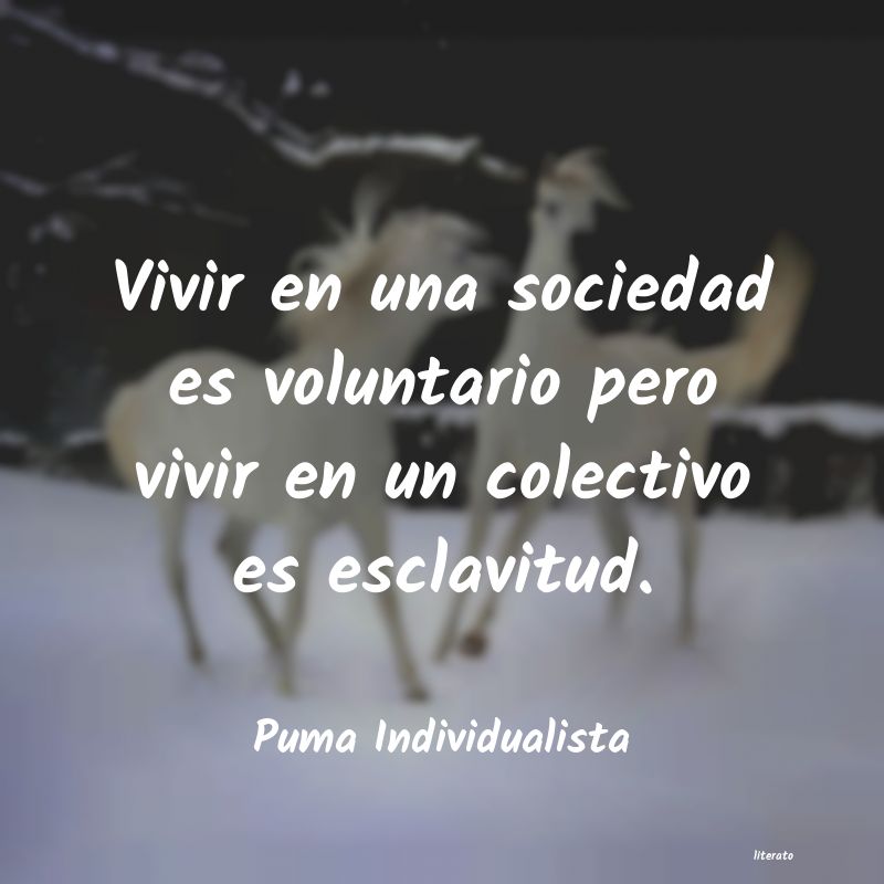 Frases de Puma Individualista