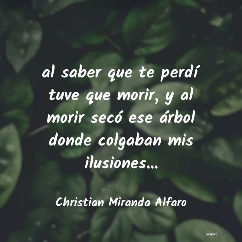 Frases de Christian Miranda Alfaro