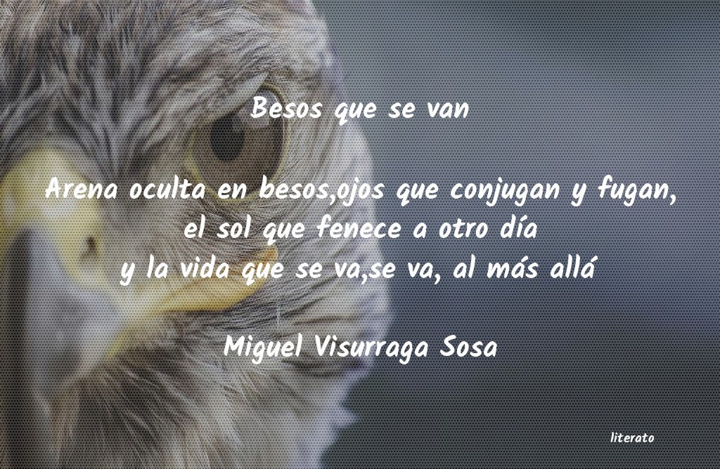 frases de Miguel Visurraga Sosa