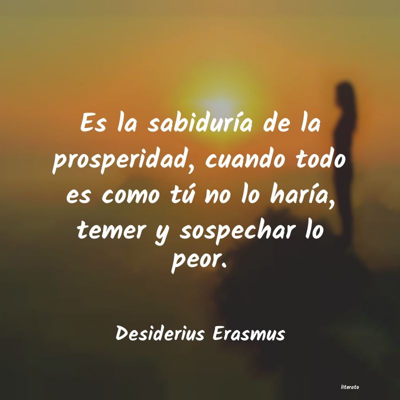 Frases de Desiderius Erasmus