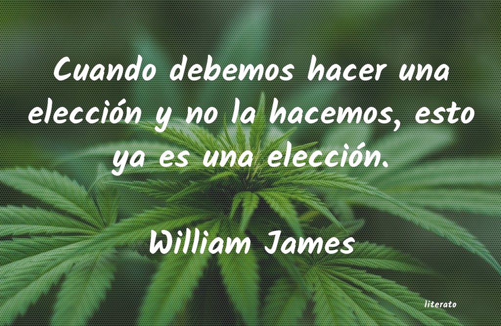 Frases de William James