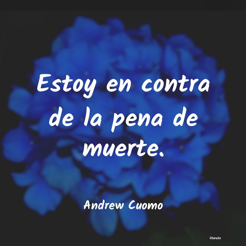 frases de Andrew Cuomo