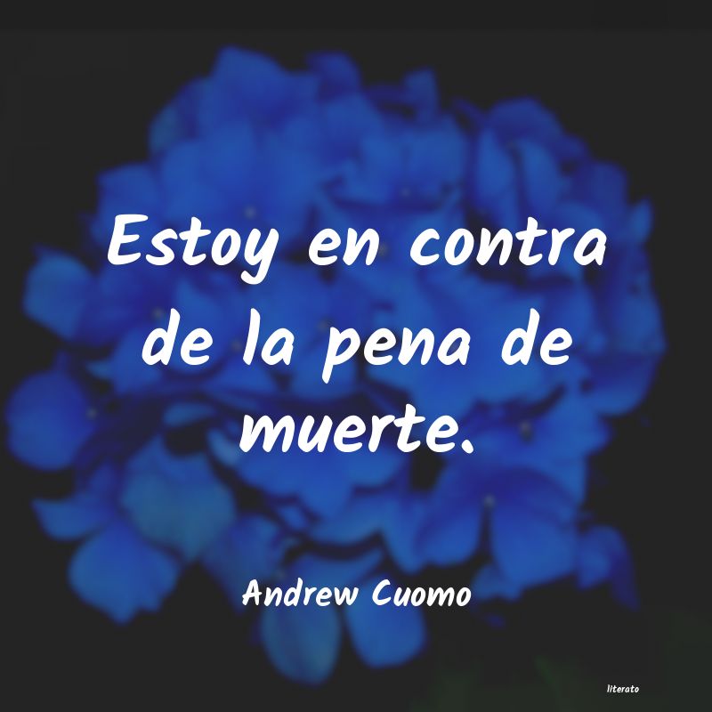 Frases de Andrew Cuomo