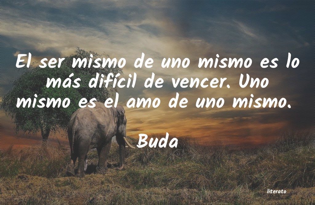 Frases de Buda