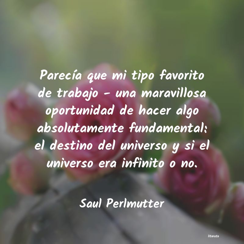 Frases de Saul Perlmutter