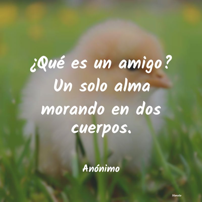 frases