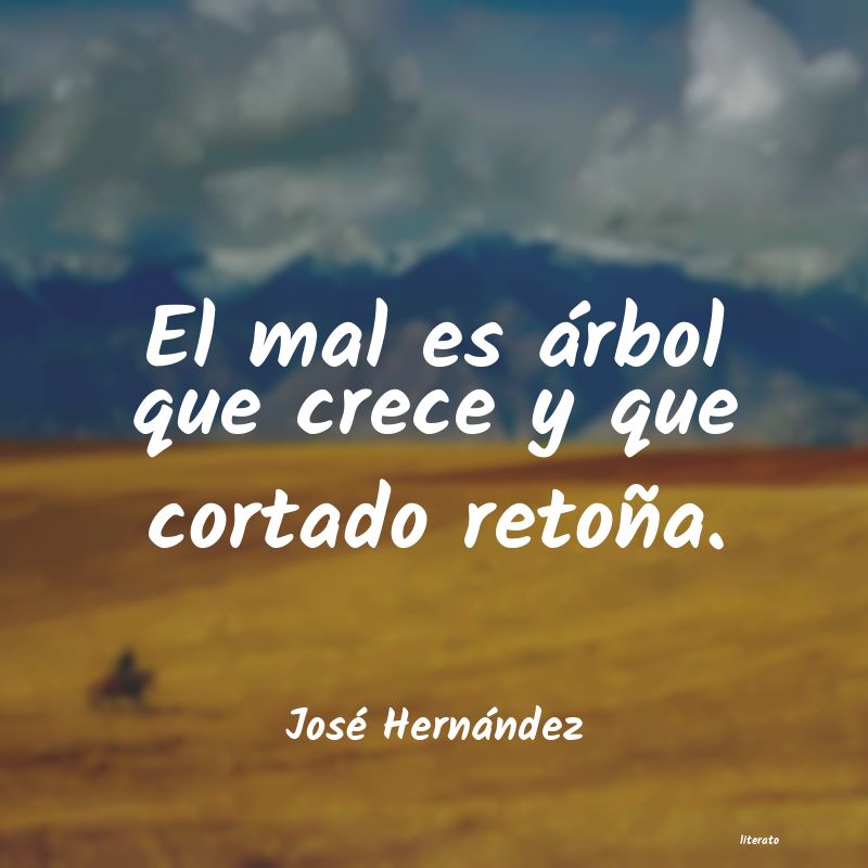 frases de José Hernández