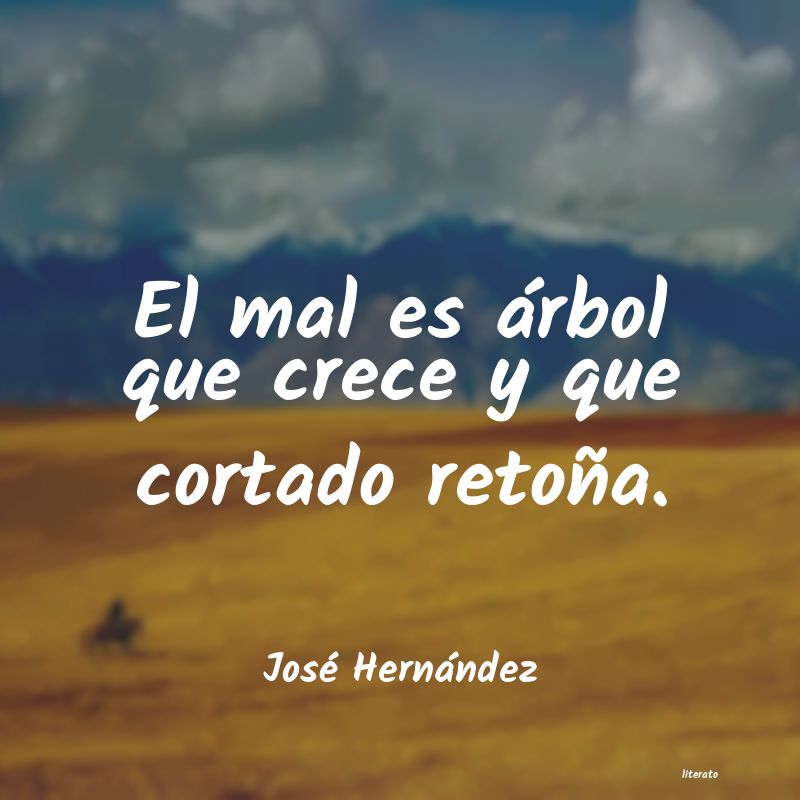 Frases de José Hernández