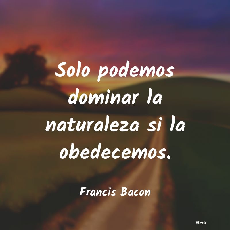 Frases de Francis Bacon