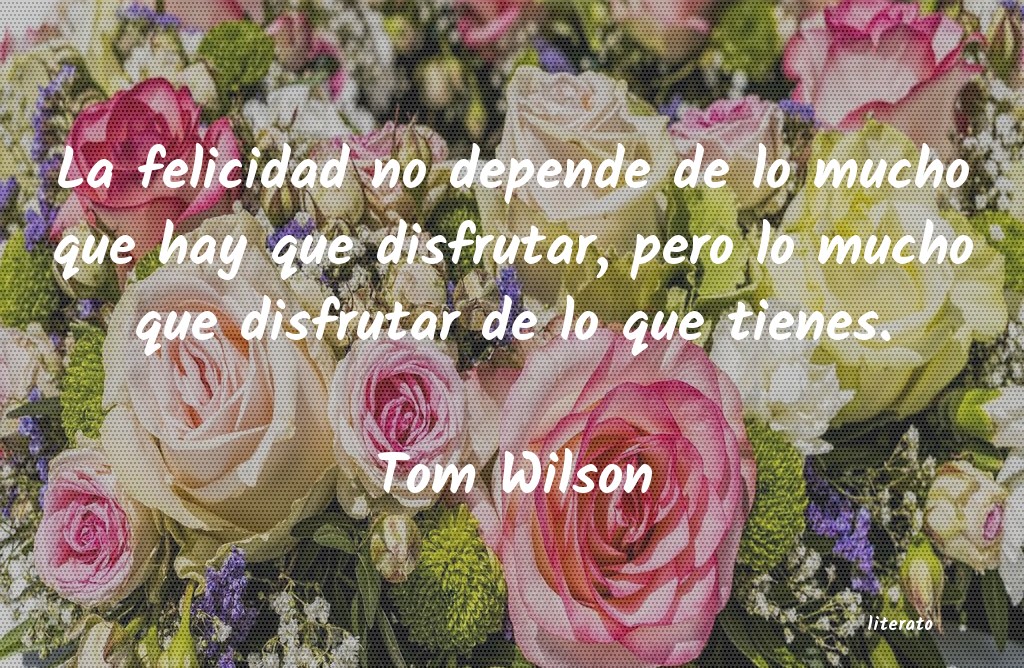 Frases de Tom Wilson