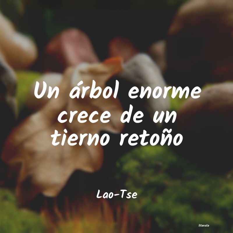 Frases de Lao-Tse